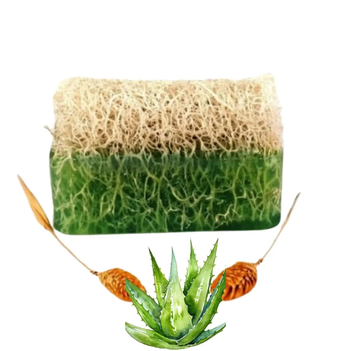 Natural Aloe Vera Pumpkin Fibre Soap 160gr Cleopatraskincare